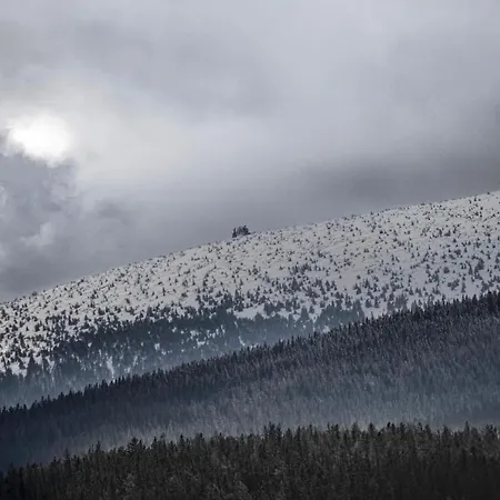 Апартаменты W Cieplicach Premium