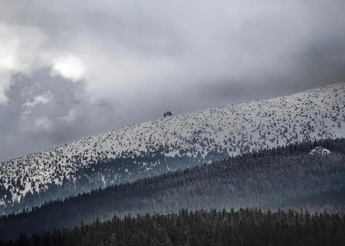 公寓 W Cieplicach Premium